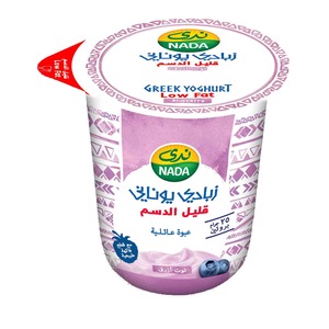 Nada Greek Yogurt 360 g - Low Fat - Blueberry