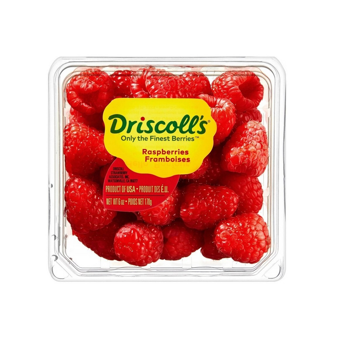 Raspberry Driscoll | Sharjah Co-operative Society