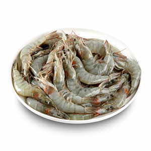 Size 30-40 Shrimps