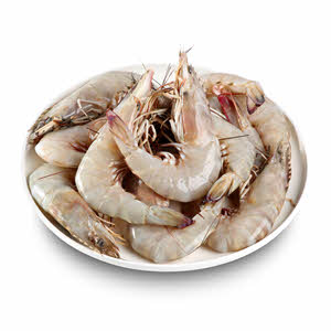 Robian U10 (Shrimps) 1Kg