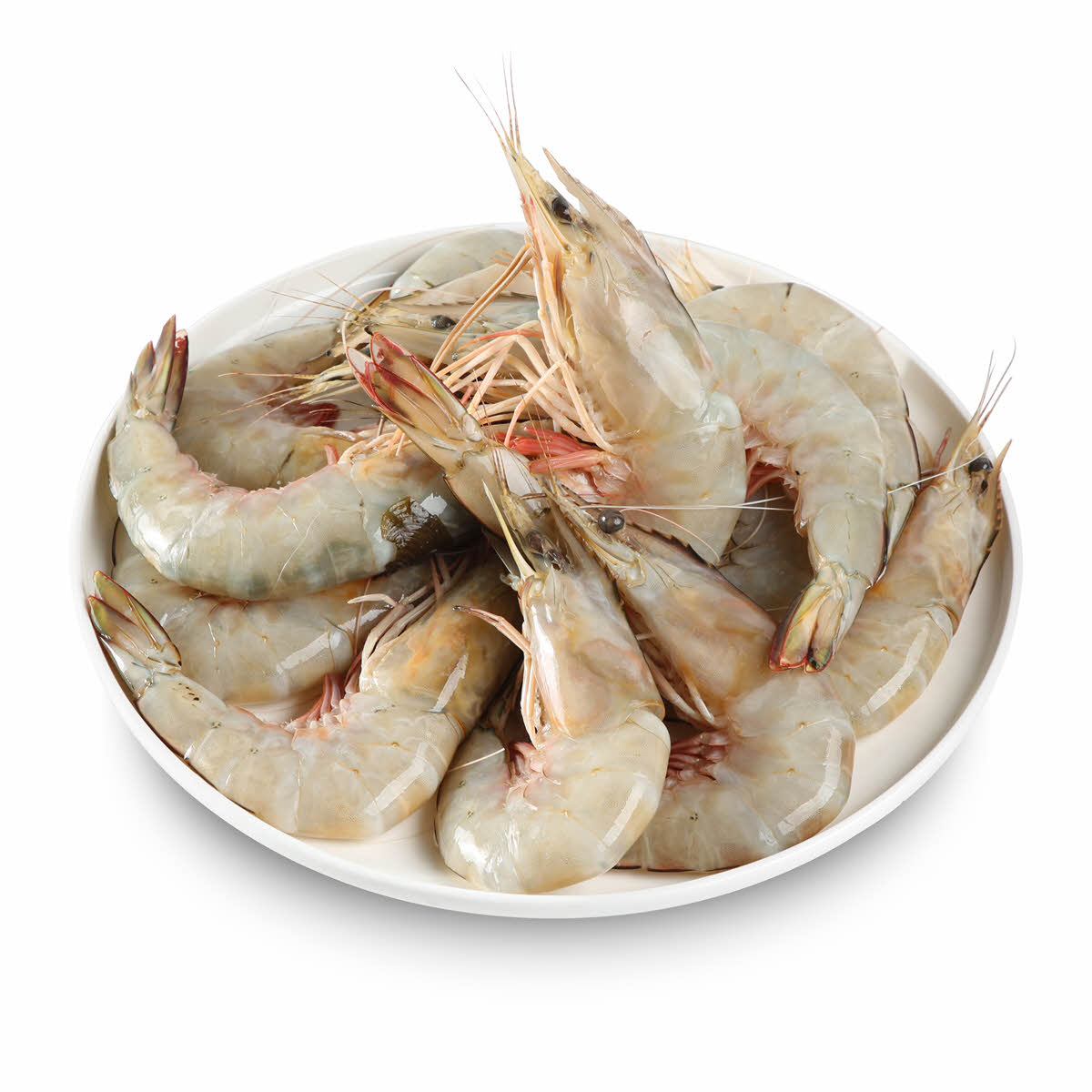 Shrimps U15 1kg Sharjah Co Operative Society