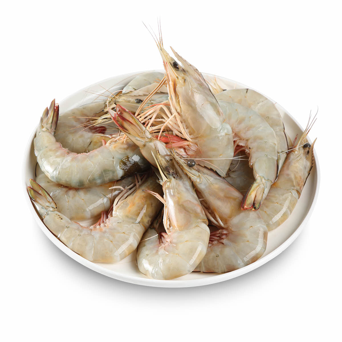 Shrimps U15 1kg Sharjah Co Operative Society Shrimps U15 1kg Sharjah Co Operative Society