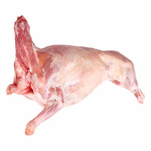 Lamb Carcass