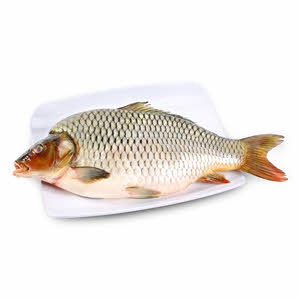 Fresh  Fresh Katla Fish Carp Fish 1Kg