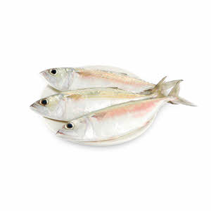 Garfa Fish (Mackerel)