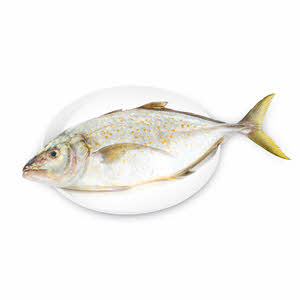 Jesh Gol Fish 1Kg | Sharjah Co-operative Society