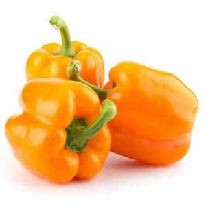 Capsicum Orange Capsicum Orange