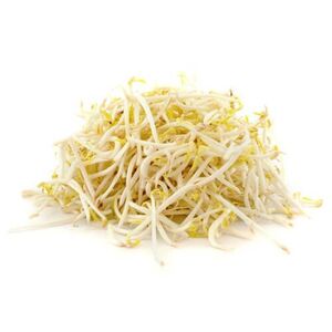 Beans Sprout Beans Sprout