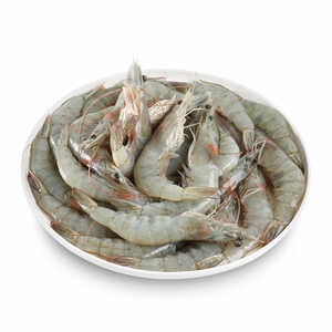 Robian 20-30 (Shrimps)