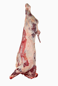 Lamb Carcass