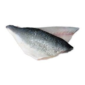 Sea Bass Fish