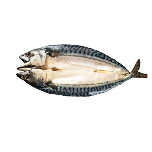 Garfa Fish (Mackerel)