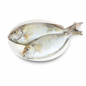 Safi Omani Fish