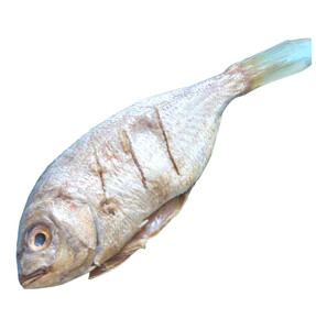 Safi Omani Fish