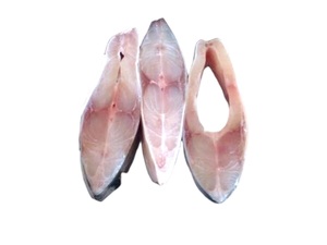 Safi Omani Fish