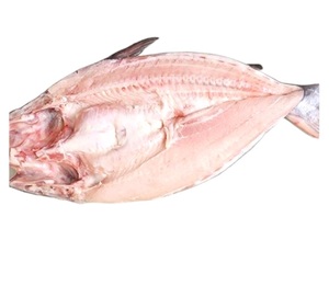 Safi Omani Fish