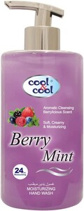 Cool & Cool Hand Wash Berry Mint 500 ml