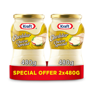 Kraft Cream Cheese Spread 2X480g Kraft Cream Cheese Spread 2X480g