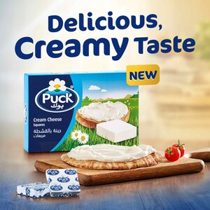 Puck Cream Cheese Squares 108 g