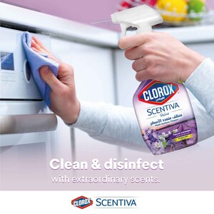 Clorox Scentiva Multi Surface Cleaner Tuscan Lavender Bleach Free Disinfectant Spray 500 ml