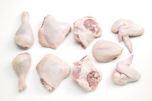 Al Bustan Quail