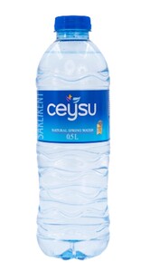Ceysu Naturl Mineral Turkish Water 500 ml