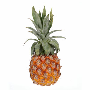 Pineapple Baby Africa