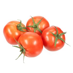 Tomato Organic