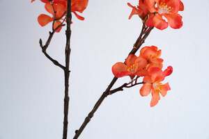 Pan Home Single Plum Blossom 2-branches Orange H75cm