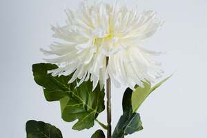 Pan Home Single Chrysanthemum Cream H72cm