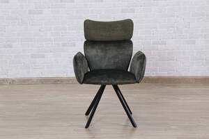 Pan Home Elements Dining Chair With Armrest - Green & Black