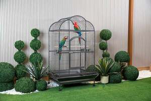 Pan Home Quaker Parrot Cage