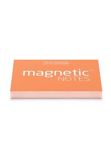 Tesla Amazing Small Magnetic Notes Peachy