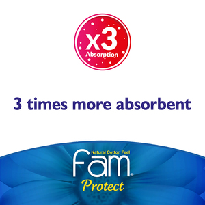 Fam Protect Incontinence Maximum 12 Pads