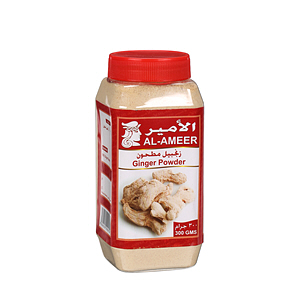Al Ameer Ginger Powder 300 g