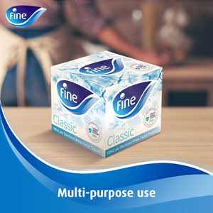 Fine Classic White Tissues 2 Ply × 100 Pack