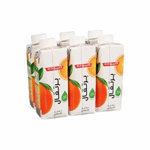 Hammoudeh Orange Nectar Juice  250ml X 6