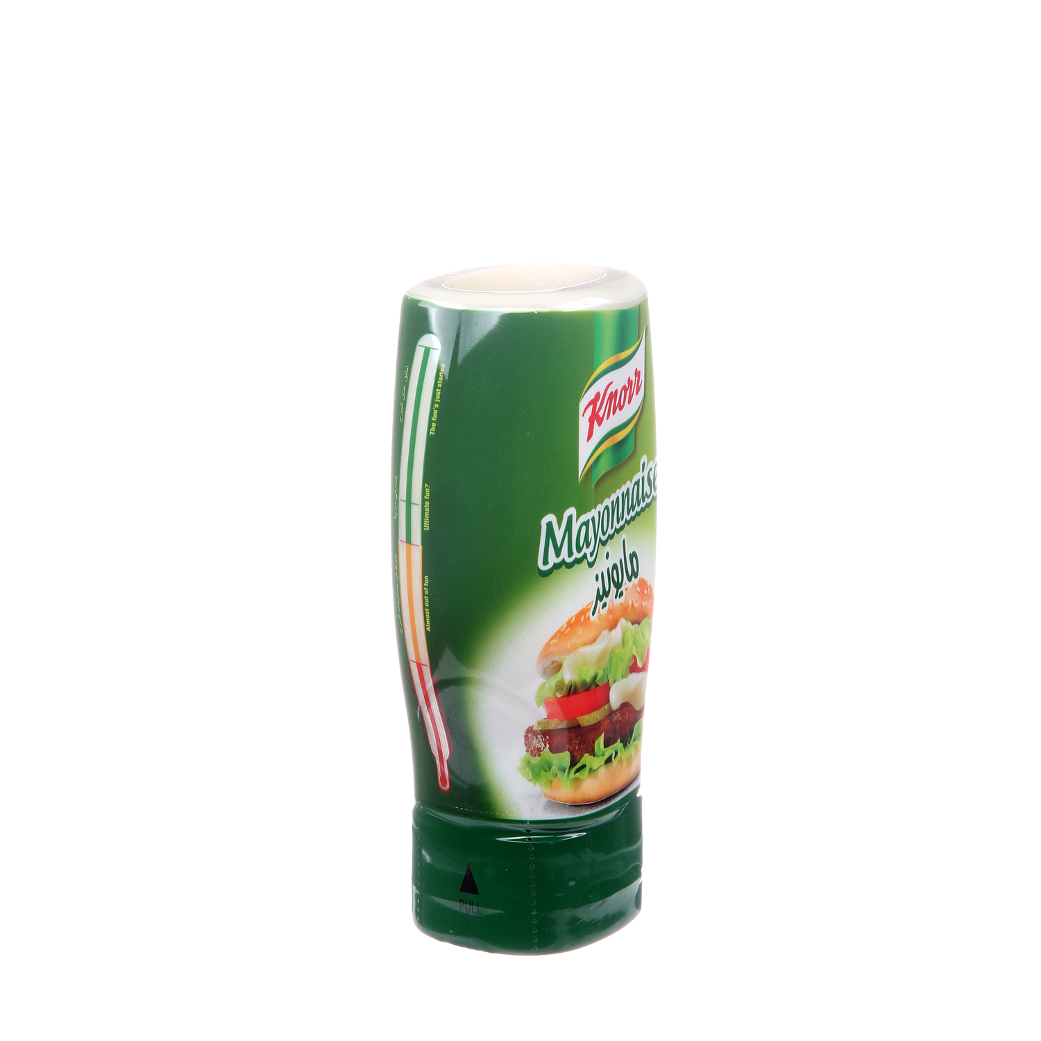 Knorr Real Mayonnaise Plastic Bottle 295 ml