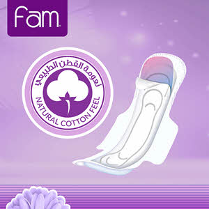 Fam Maxi Sanitary Pad Classic With Wings Super 40 Pads