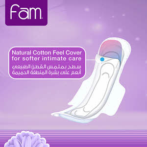 Sanitary Pads Fam Maxi Folded with Wings Night 24 Pads