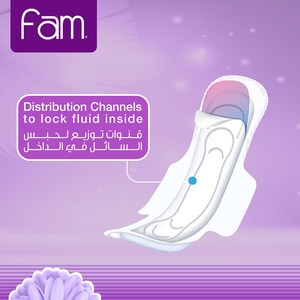 Sanitary Pads Fam Maxi Folded With Wings Night 48 Pads