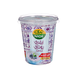 Nada Greek Yogurt 360 g - Low Fat - Blueberry