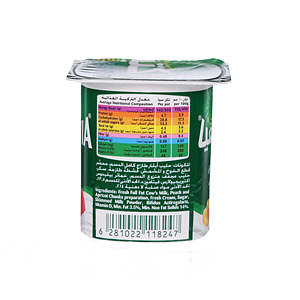 Al Safi Danone Activia Flavoured Youghurt Peach & Apricot 120 g