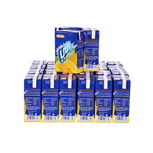 Rani Carton Pack Mango 250ml × 27'S