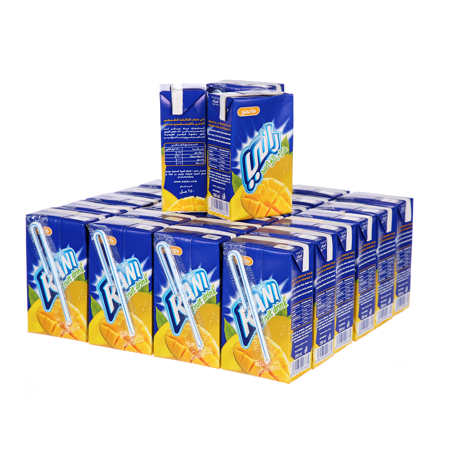 Rani Carton Pack Mango 250ml × 27'S