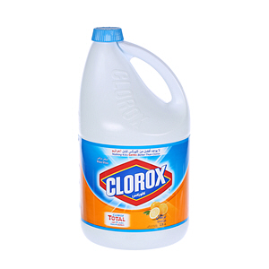 Clorox Bleach Orange 1 Gallon