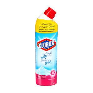 Clorox Floral Burst 750 ml