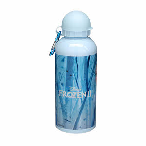 Frozen Ii Born This Way Water Bottle Metal
