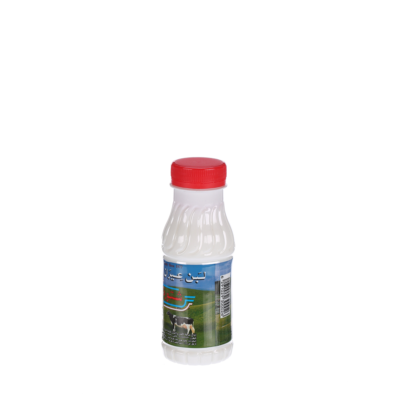 Chtoora Labnah Airan Full Fat 225 ml