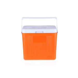 Cosmoplast Keepcold Small Icebox